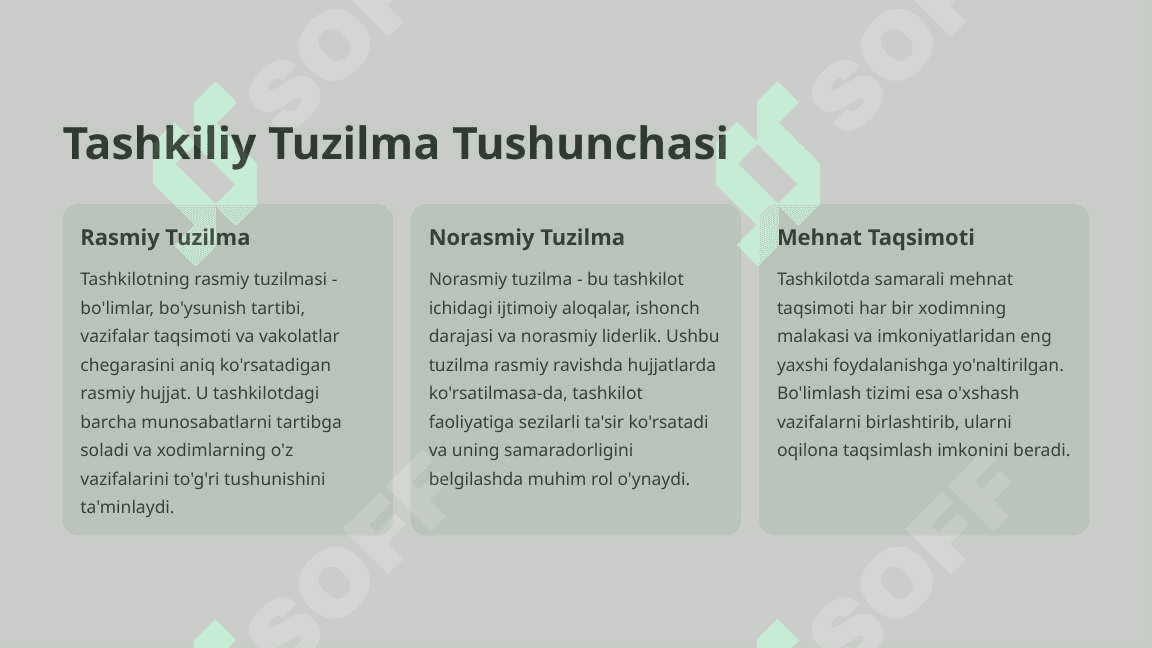 Tashkilotlarni barpo etish va uning tuzilish strategiyasi 5