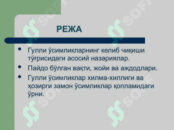 Ёпиқ уруғлилар –  Angiospermae Магнолиятоифа – Magnoliophyta Гулли ўсимликлар – Anthophyta бўлими 2