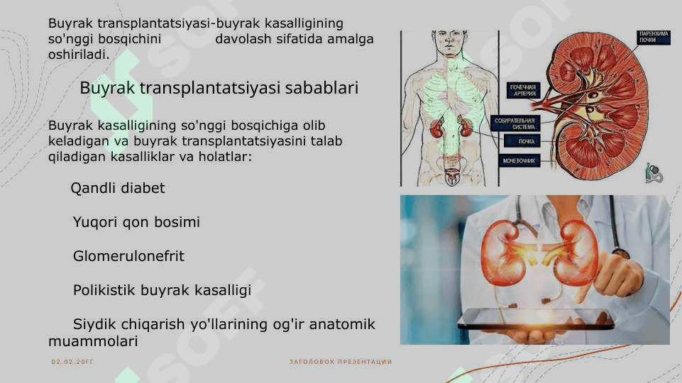 Buyrak transplantatsiyasi 3