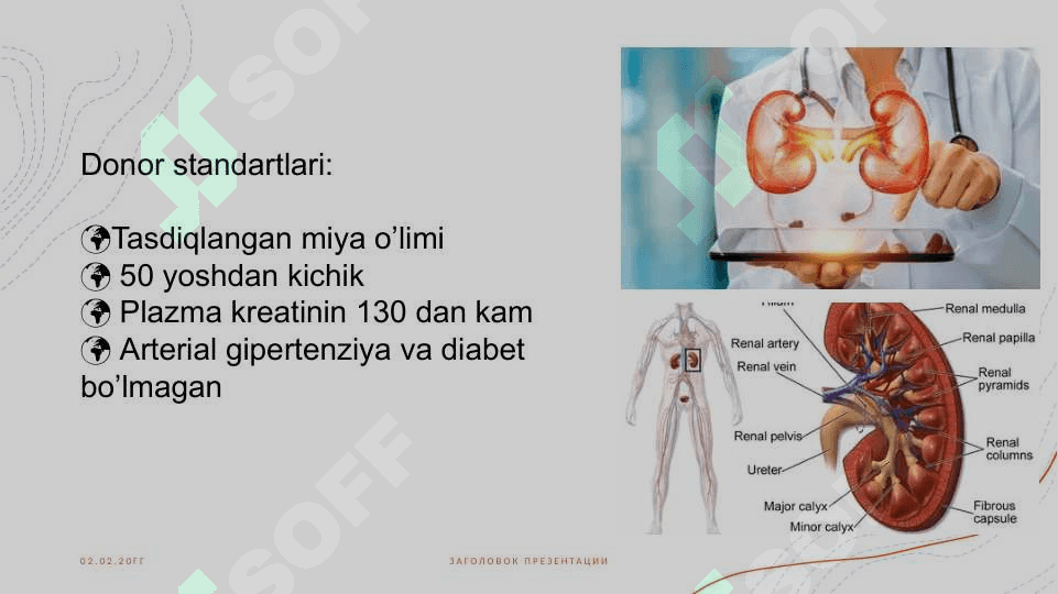 Buyrak transplantatsiyasi 4