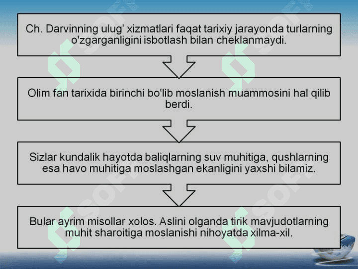 yashash uchun kurash 5