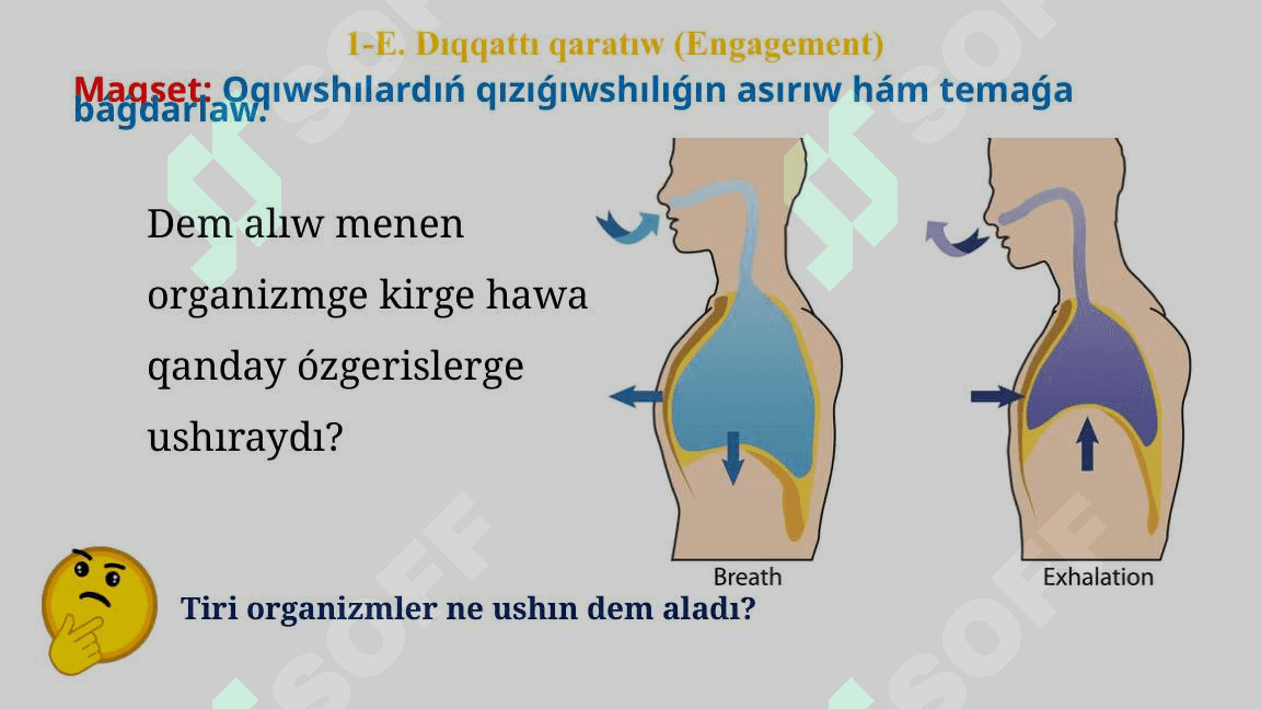 Dem alıw sisteması_5E 3