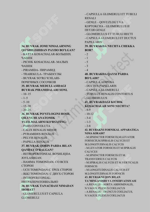 Ayiruv tizimi test 4