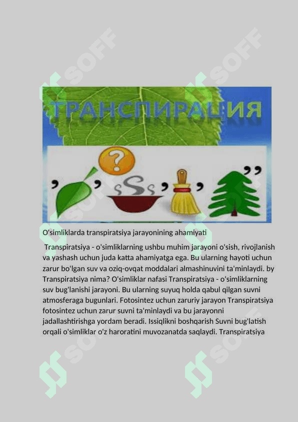 Oʻsimliklarda transpiratsiya jarayonining ahamiyati 3