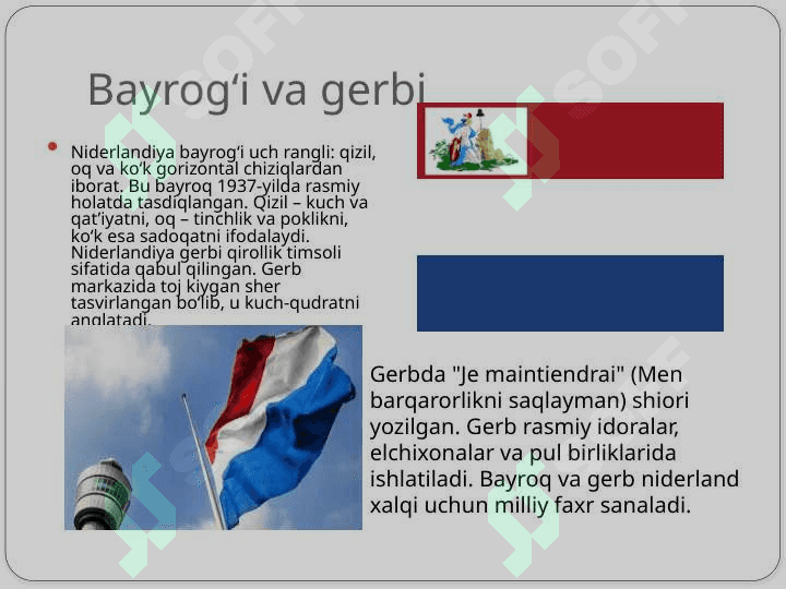 Niderlandiya davlati haqida.pptx 3