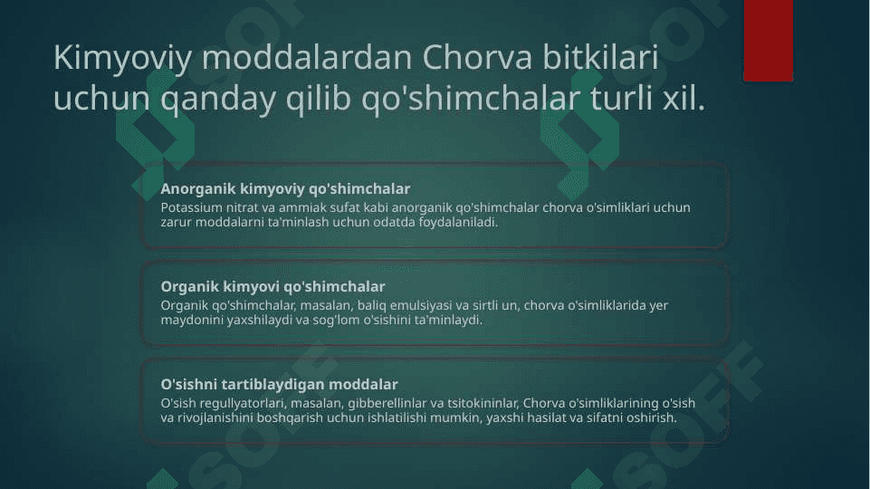 Chorva mollarini parvarishlash 4