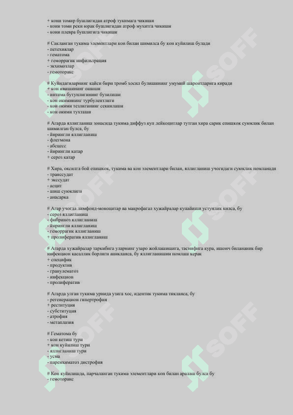 Patanatomiya Test 3