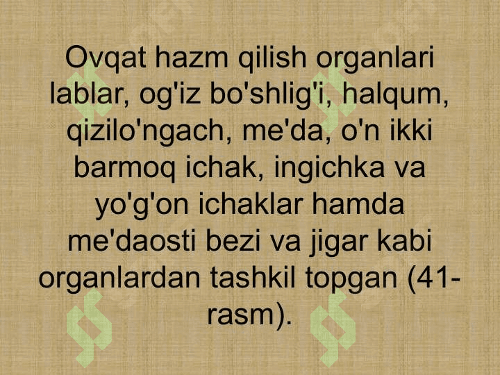 INGICHKA VA YO'G'ON ICHAKDA OVQAT HAZM BO'LISHI2 3