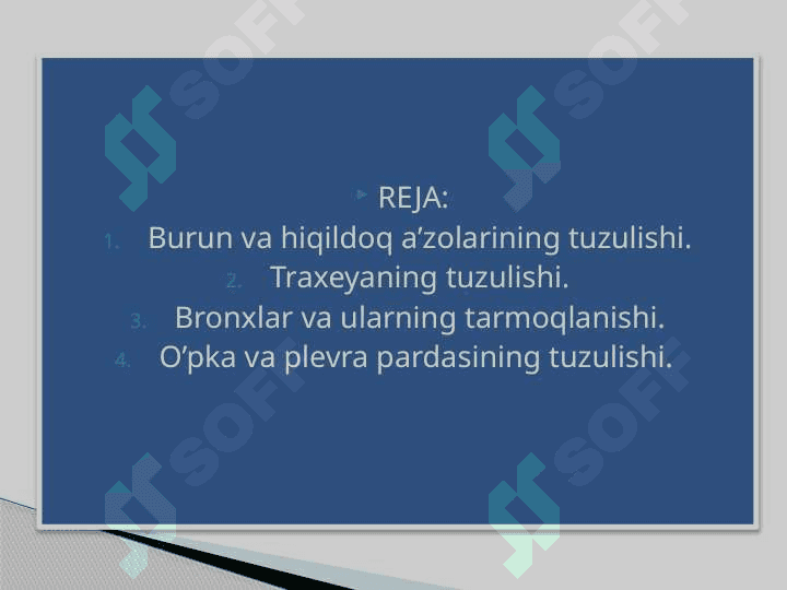 O’pkaning nafasga oid bo’lmagan funksiyalari 2