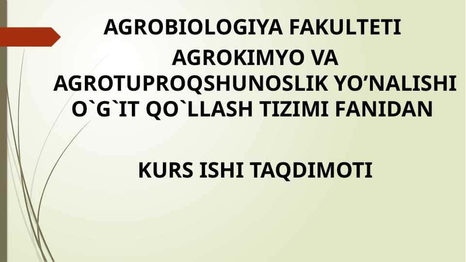 Suli ekinini o`g`itlash.