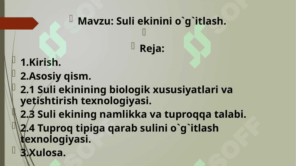 Suli ekinini o`g`itlash. 2