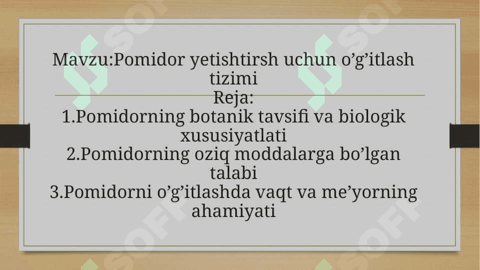 Pomidor yetishtirsh uchun o’g’itlash tizimi 2