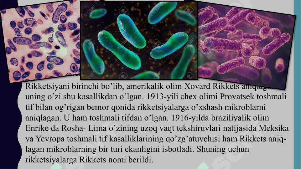 Rikketsiozlar. Etiologiya, epidemiologiya, klinikasi, diognostika, davolash 2