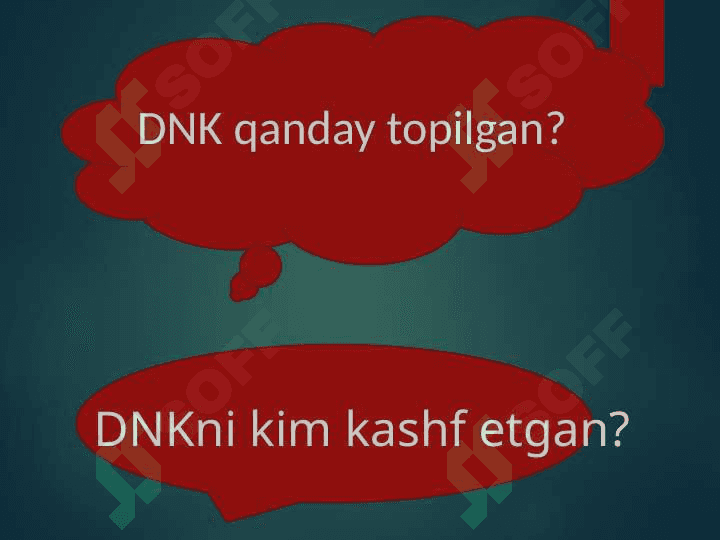 DNK va RNK 8