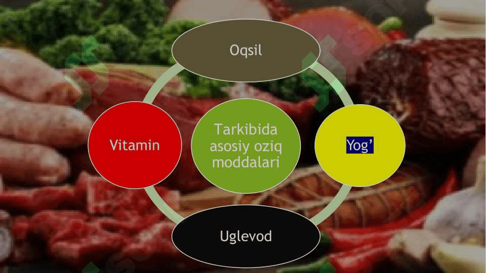 Go’shtning mikrobiologik tahlili 2