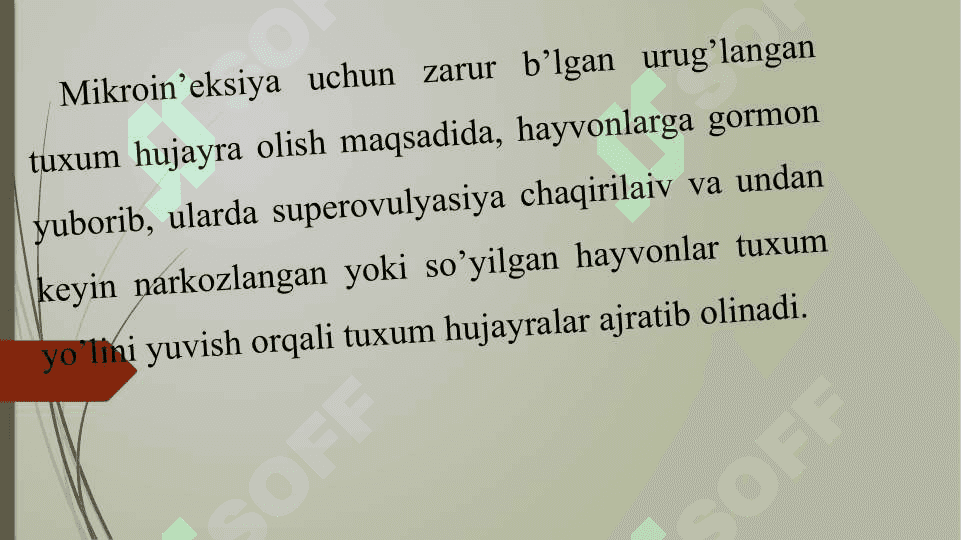 HAYVONLARDA GEN MUHANDISLIGI 2