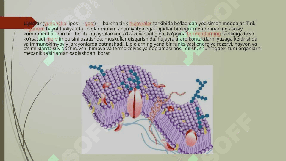 mikroorganizmlar ishtirokida lipidlar ishlab chiqarish 3