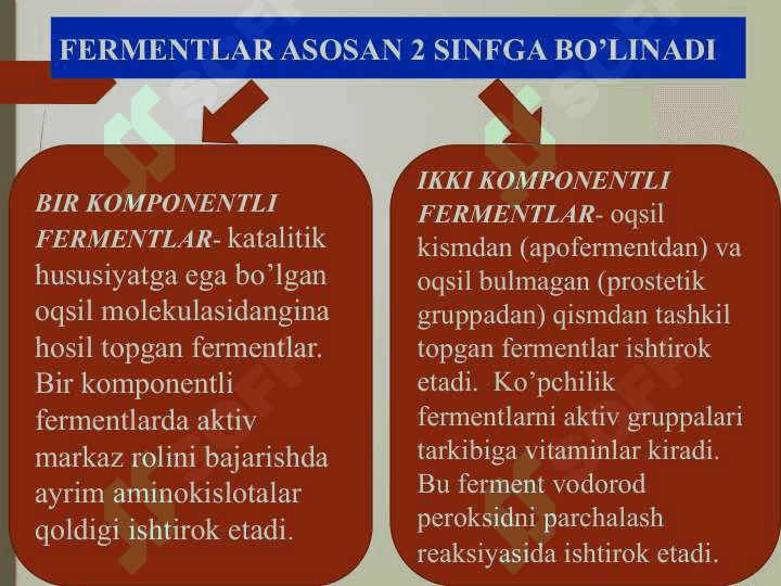 MIKROORGANIZMLARDAN FERMENT PREPARATLARINI AJRATIB OLISH USULLARI. TOZALANMAGAN, KOMPLEKS FERMENT PREPARATLARINING OLINISHI (2) 3