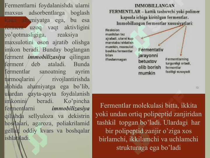 MIKROORGANIZMLARDAN FERMENT PREPARATLARINI AJRATIB OLISH USULLARI. TOZALANMAGAN, KOMPLEKS FERMENT PREPARATLARINING OLINISHI (2) 7