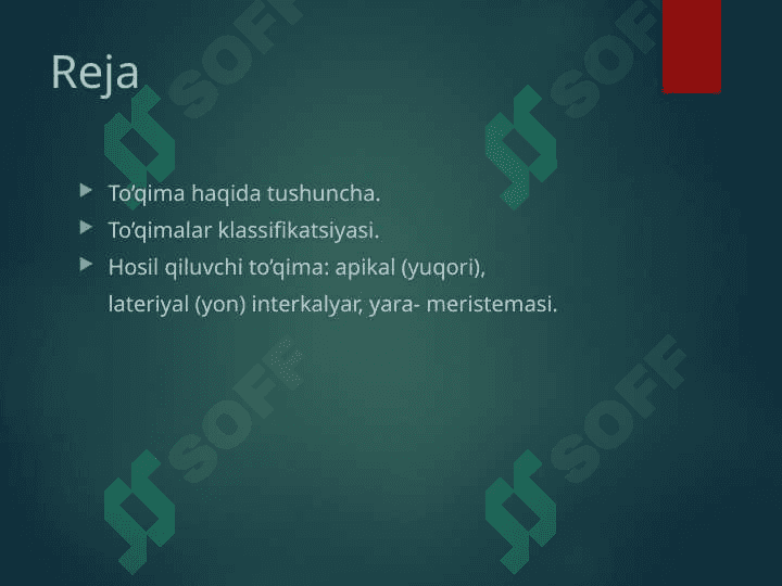 O’simlik to’qimalari 2