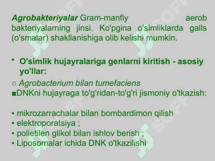 O'simliklar genetik muhandisligi 3
