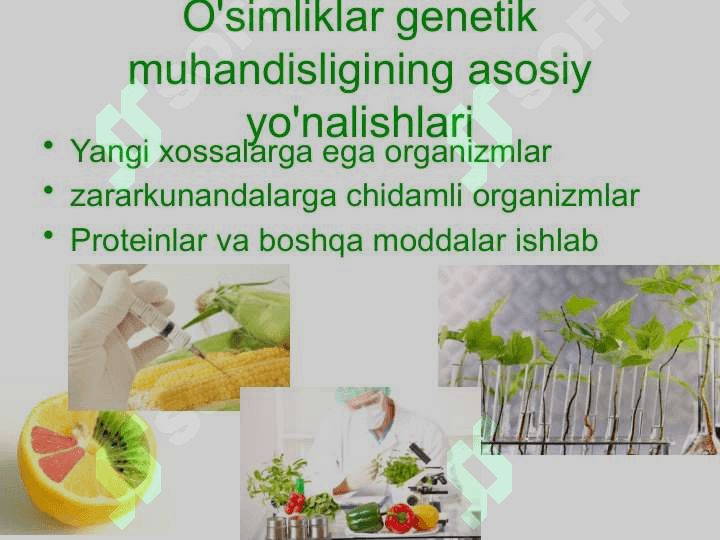 O'simliklar genetik muhandisligi 7