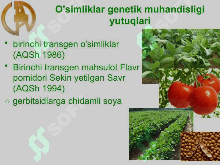 O'simliklar genetik muhandisligi 8