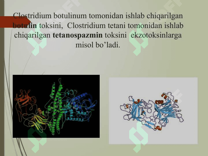 Tabiiy toksikantlar 6