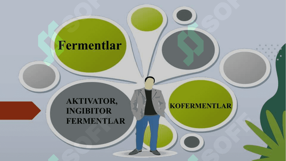 Toza fermentlar 2