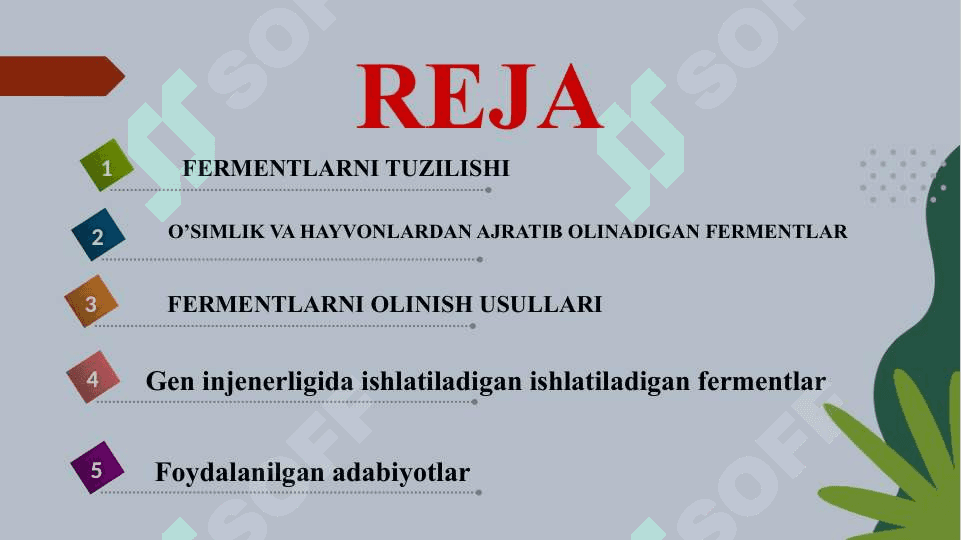 Toza fermentlar 3