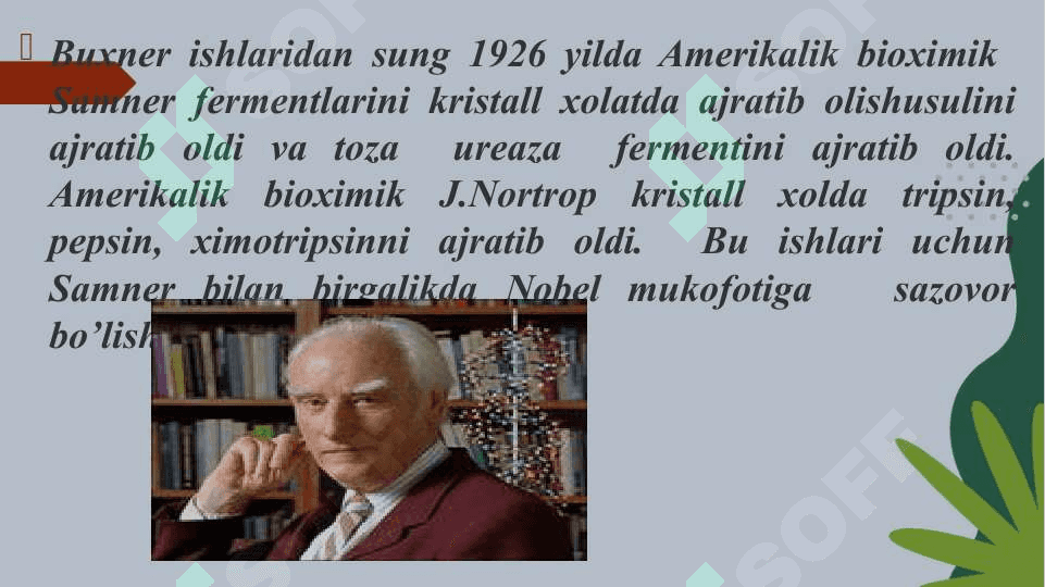 Toza fermentlar 4