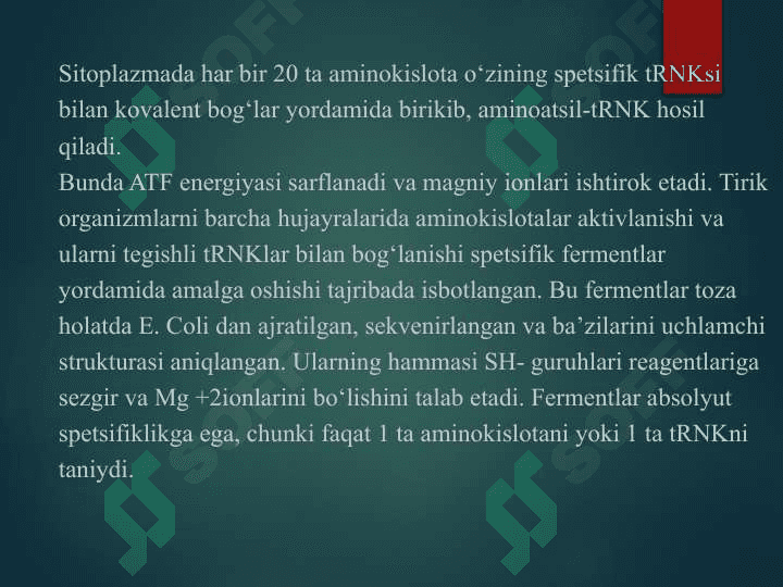Trаnslyasiyaning аsоsiy bоsqichlаri 5