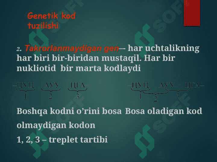 Trаnslyasiyaning аsоsiy bоsqichlаri 6