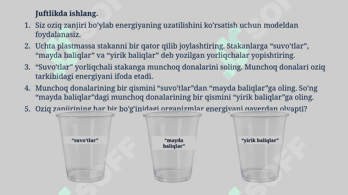 Energiya va zaharli moddalar oqimi_5E 5
