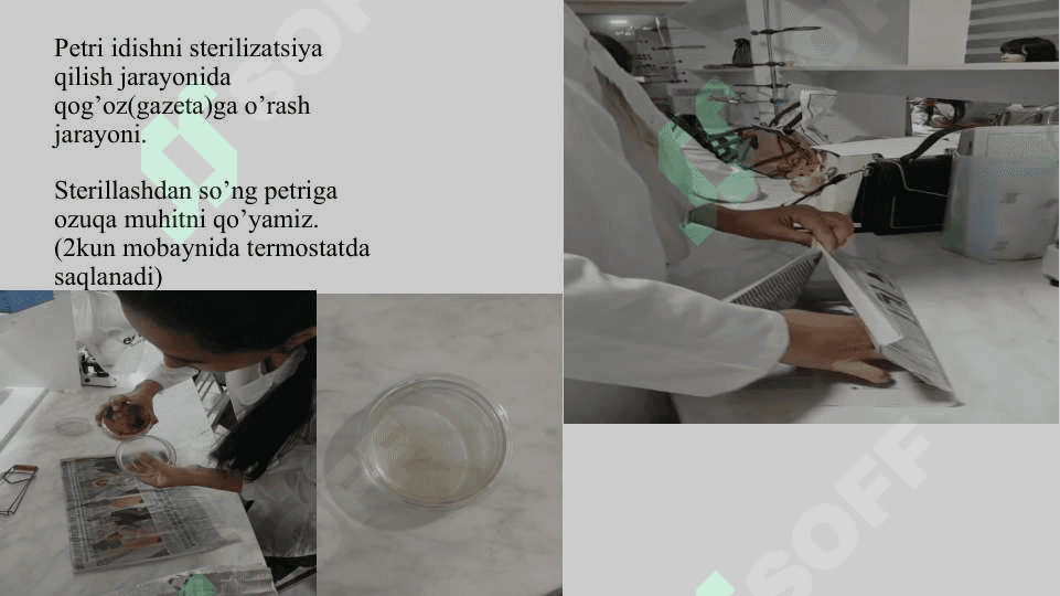 Tasvirlarni filtrlash vositalari. Rasmni filtrlash. Filtrlar. Chiziqli filtrlar. Filtr yadrosi. Tasvirlarning chekkalarida filtrlash. 4