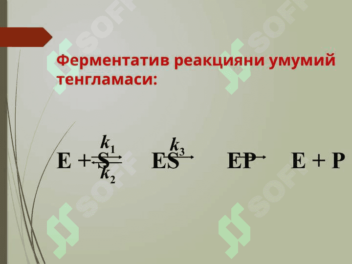 Ферментлар (2) 6