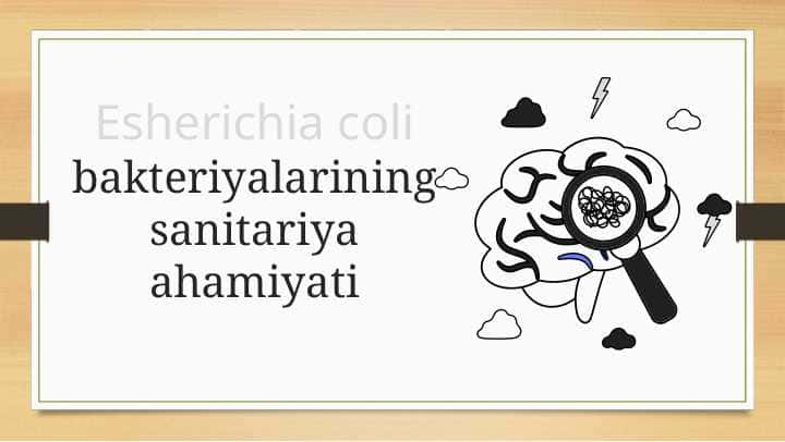 bakteriyalarining sanitariya ahamiyati