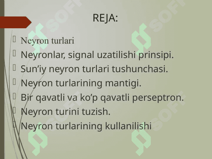 NEYRON TURLARI 2