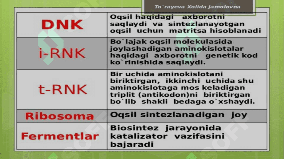 RNK turlari va uning oqsil biosintezidagi roli 5