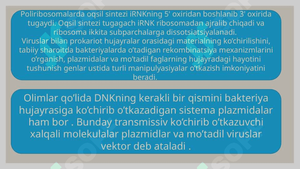 RNK turlari va uning oqsil biosintezidagi roli 8