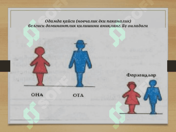 Белгиларни ирсийланишида генларнинг узаро таъсири турлари 2