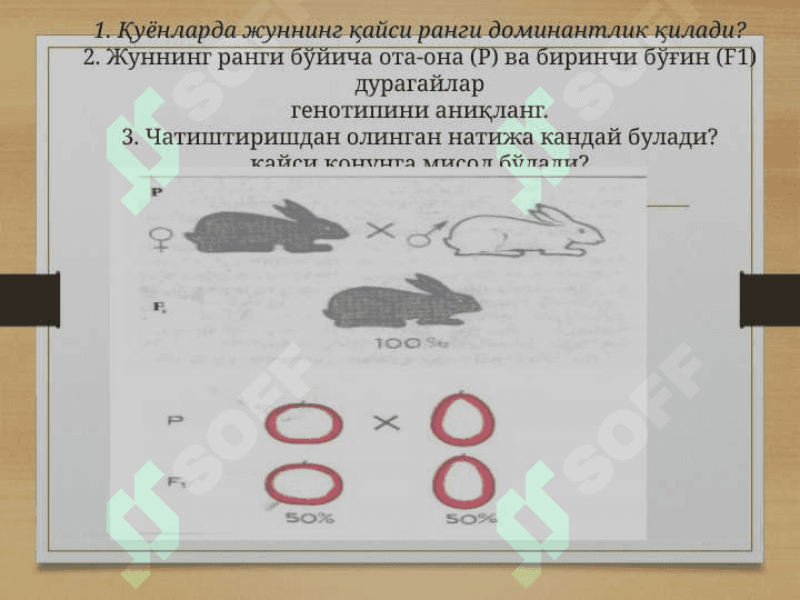 Белгиларни ирсийланишида генларнинг узаро таъсири турлари 3