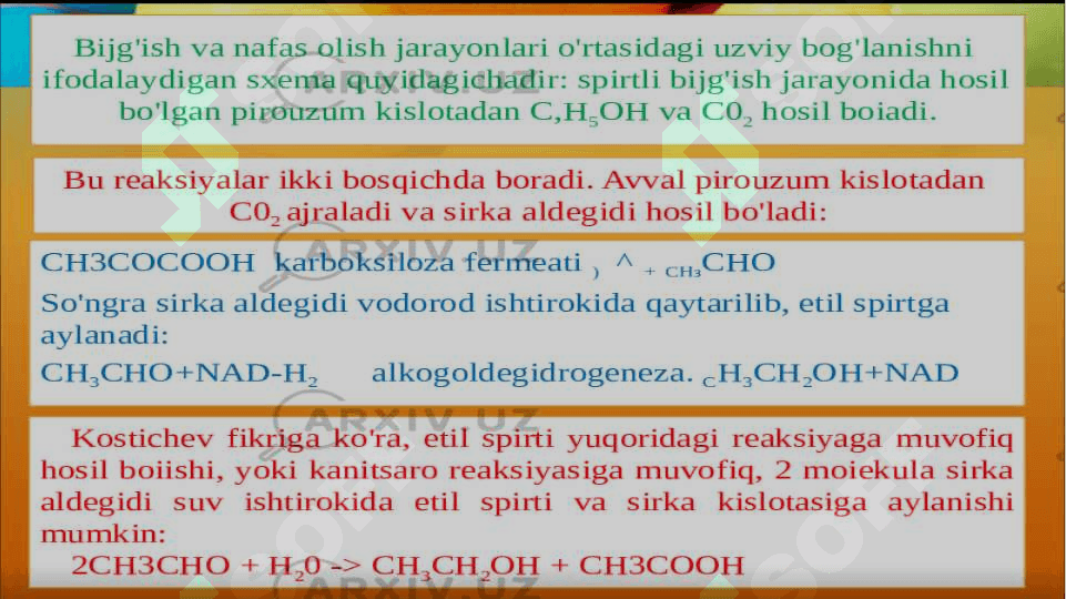 Bijgish va uni xillari. Sut-kislotali va spirtli bijg’ish 4