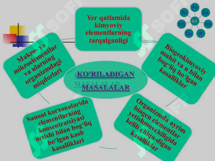 BIOGEN ELEMENTLAR KIMYOSI. 3