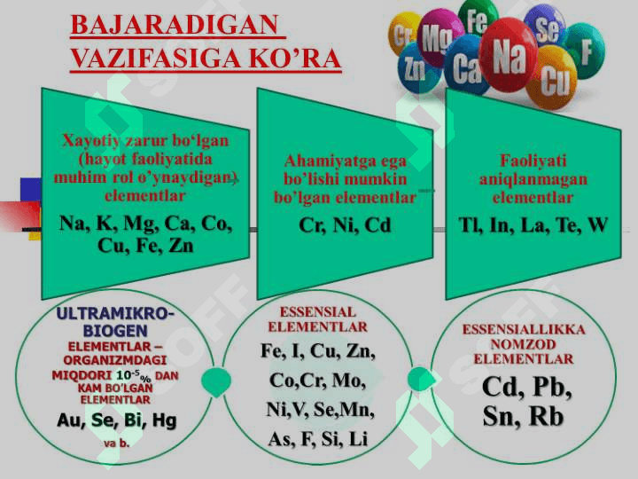 BIOGEN ELEMENTLAR KIMYOSI. 8