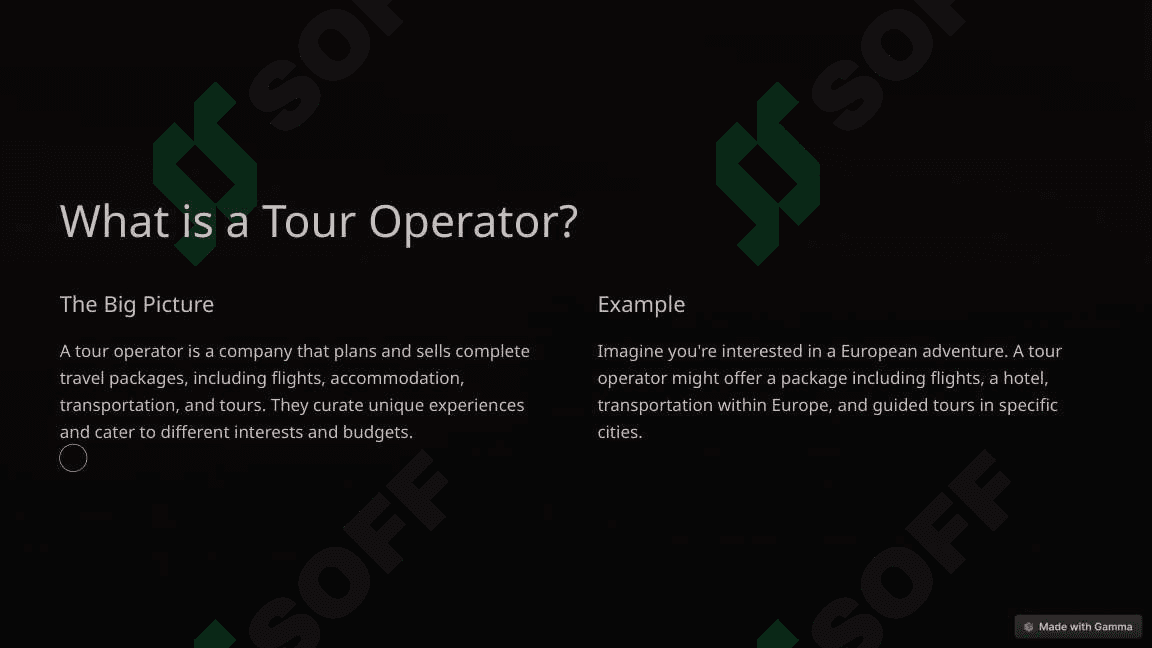 Tour Operators vs. Tour Guides: Unveiling the Difference 2
