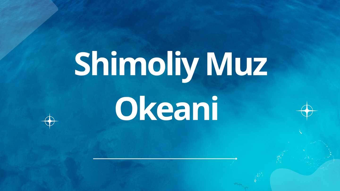 Shimoliy Muz Okeani