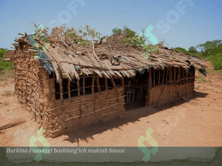 Afrika davlatlari talim muammolari 3