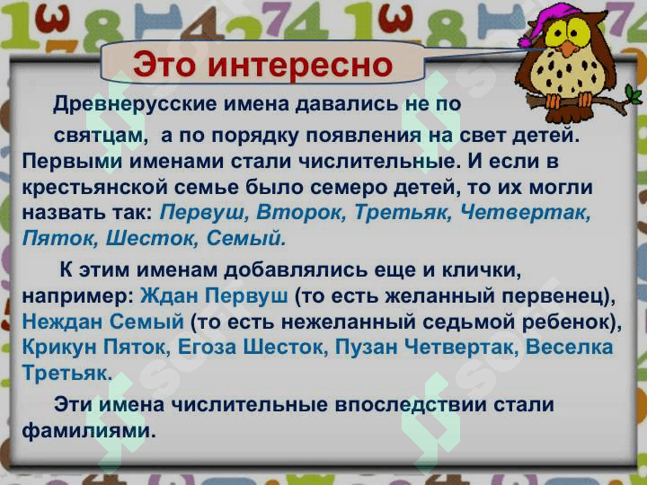 ИМЯ ЧИСЛИТЕЛЬНОЕ 2