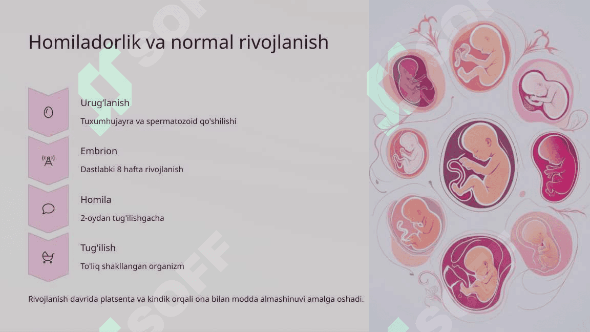 Ona qornida rivojlanish patalogiyasi 3